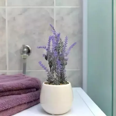 Apartman Sea * Vodnjan